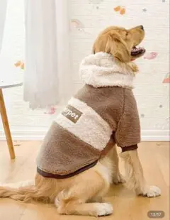 Item thumbnail for item ed169d5b-2ee3-4f19-a405-f53b0f4f7a62