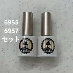 美品きまぐれキャットマグネットジェルネイル6955 /6957のサムネイル