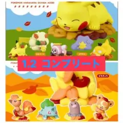 ポケモン　はらはらおちばあそび1.2コンプリートセット