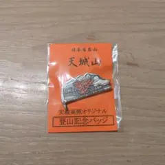 りょーさん（プロフィールご確認ください）様 リクエスト 2点 まとめ商品