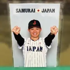 2025年11月侍ジャパン　森下翔太　プロマイド（一枚入）