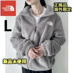 ノースフェイス メンズ レディース ボアフリース ボアジャケット L グレー
