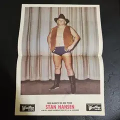 スーパースター・ビリー・グラハム2体セットWWEクラシックスーパースター WWE スーパースター・ビリー・グラハム プロレス カード - メルカリ