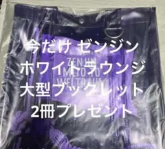 2025年最新】ゼンジン未到とヴェルトラウム トートバッグの人気