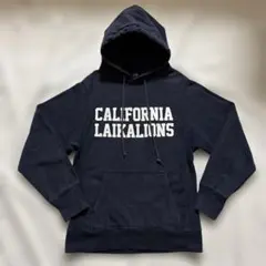 LAIKA CAME BACK パーカー LAIKALIONS AIR 車谷浩司