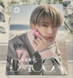 &TEAM DICON MAGAZINE 写真集のみ【HARUA】