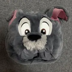 Disney ディズニー トランプ ファンキャップ