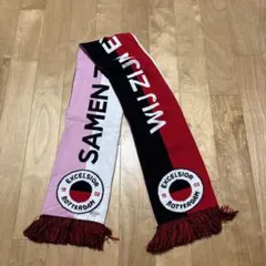 エクセルシオル　マフラー