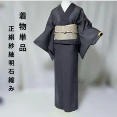美品　正絹　紗紬　明石縮み　色無地　夏着物　着物単品　未使用近い 美品 正絹 紗紬 明石縮み 色無地 夏着物 着物単品 未使用近い - メルカリ