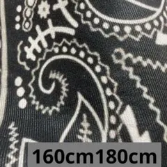 未使用　サンプル品　モリリン ラグ　カーペット