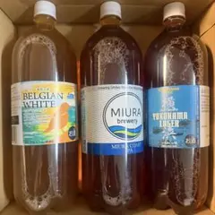 2026年最新】ドリームビア ビールの人気アイテム - メルカリ