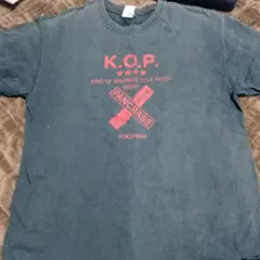 Item thumbnail for item b1708885-6d1c-4d06-bcd7-79ad5db123ce