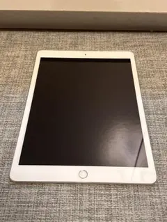 Apple iPad シルバー 本体 ジャンク