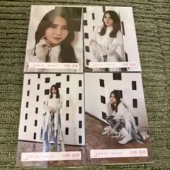 Item thumbnail for item 339fc4b6-c28b-4a97-92a9-aa8d5b8517d5