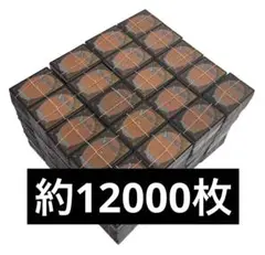 マジック・ザ・ギャザリング 約12000枚 MTGカード 大量 未仕分け 引退品