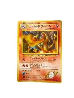 2026年最新】カツラのリザードンの人気アイテム - メルカリ