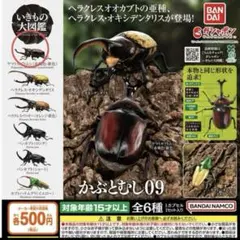 いきもの大図鑑 かぶとむし09 ヤマトカブトムシ （赤褐色・新色）