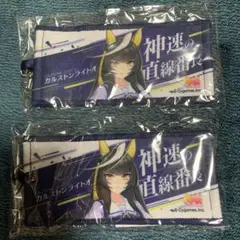 ウマ娘　6th 秋　リアルガチャ　タオルキーホルダー　カルストンライトオ