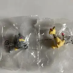 ポケモン　ゲットコレクションズ　遺伝子の共鳴