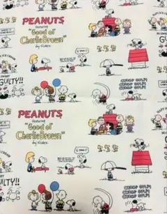 PEANUTS 生地 スヌーピー チャーリーブラウン