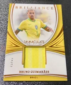 【65枚限定】ブルーノ・ギマラインス panini immaculate