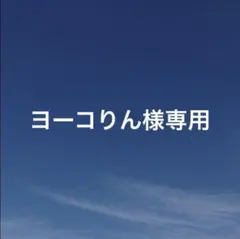 ヨーコりん様 リクエスト 2点 まとめ商品