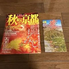 Item thumbnail for item 7a9f9470-b4a9-4e97-93d9-f267166cad5a