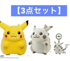 おかえりピカチュウ1/2 はじまりのピカチュウ 3点セット ポケモン