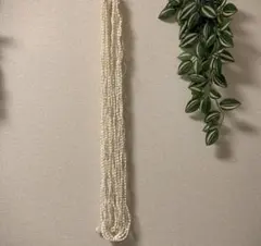 フラダンス シェルレイ 約70cm 12連