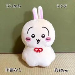 【新品未使用】 ちいかわ ウラヤハボウズBIGぬいぐるみ うさぎ 圧縮なしのサムネイル