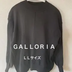 ＧＡＬＬＯＲＩＡ　ＬＬサイズ黒 ハイネックニット