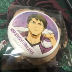 2026年最新】牛島若利 缶バッジの人気アイテム - メルカリ