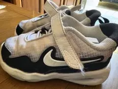 Item thumbnail for item 123fae5a-9e9d-433d-b958-1d0033d60ac8