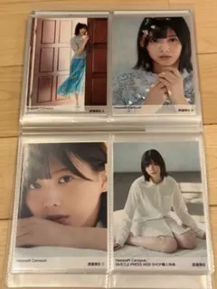欅坂46 渡邉理佐 HaaaaaN Canopus 生写真 コンプ
