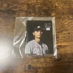 千葉ロッテマリーンズ 和田康士朗選手 アクスタ