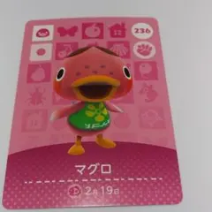 マグロ　アミーボ