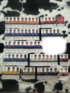 プロ野球カードまとめ売り BOX販売】プロ野球カードゲームDREAMORDER(ドリームオーダー) セ
