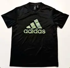 Item thumbnail for item d61924da-2014-410e-a294-0f771a207335