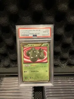 2026年最新】タマタマ psa10の人気アイテム - メルカリ