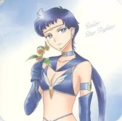 【送料込】「セーラームーン Cosmos」入場者特典　セーラースターファイター