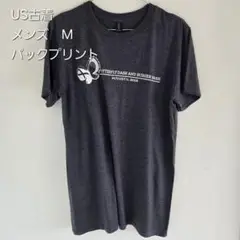 040 ANVIL バタフライデザイン Tシャツ M　バックプリント　古着