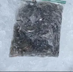 낚시 미끼용 냉동 멸치 혼합물, 소형, 10kg