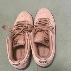 Nike SB Dunk Low Pro 