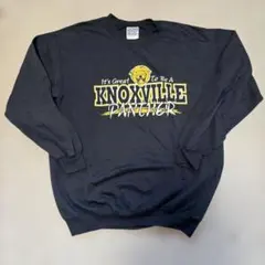 GILDAN Knoxville Panther 長袖 Mのサムネイル