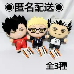 ハイキュー!! みにコレ！ぬいぐるみ2 月島蛍 黒尾鉄朗 木兎光太郎 全3種
