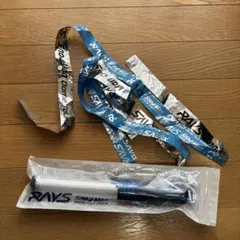 RAYS SnowMan ペンライト