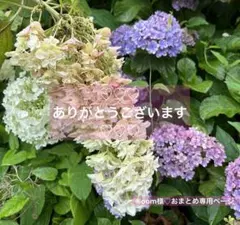 ®oom様♡おまとめ専用ページ