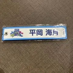平岡海月 日向坂46 ネームタグキーホルダー ランダムガチャ 2025