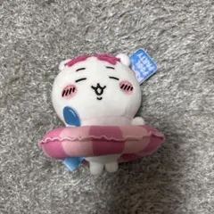 2026年最新】ちいかわMINISOの人気アイテム - メルカリ