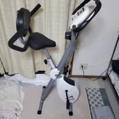 ALINCO コンフォートバイク AFB4309W